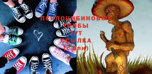 PSILOCYBIN Наволоки