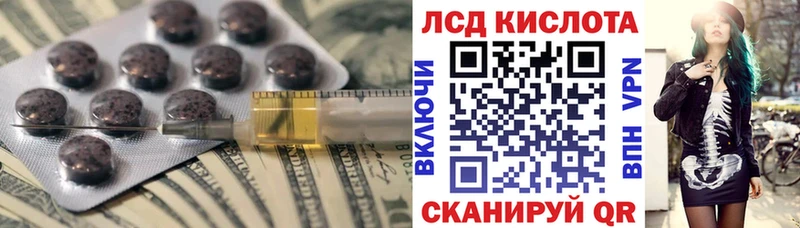 дарнет шоп  Новотитаровская  ЛСД экстази ecstasy 
