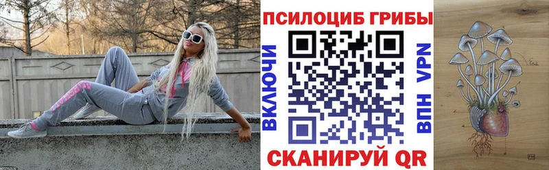 Галлюциногенные грибы Psilocybe  Новотитаровская 